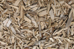 biomass boilers Stockethill